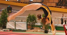 Championnat de France de gymnastique