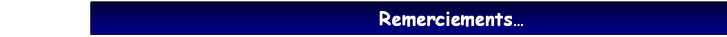 Zone de Texte: Remerciements�